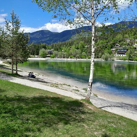 Les Chalet Kranjska Gora I Εξωτερικό φωτογραφία